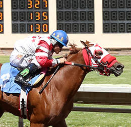 Gf Shes Sinful, under jockey Noe Garcia, Jr., posted the fastest time in the Grade 1 Ruidoso QH Derby trials on Sunday.