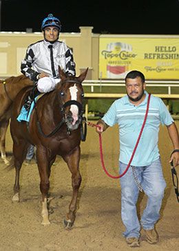 Kiss My Maruska returns after winning the Grade 2

Dash For Futurity at Lone Star Park.