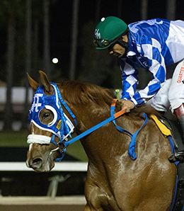Los Alamitos