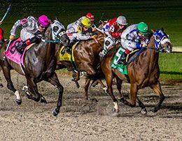 Hodges Photography
