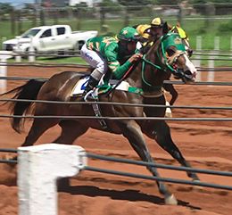 Fantastic Salt winning the GP Lavizoo in record time.