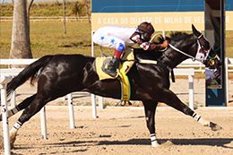 Trial 2 – Encantada For Me PK - the fastest of the GP Sao Paulo trials.
