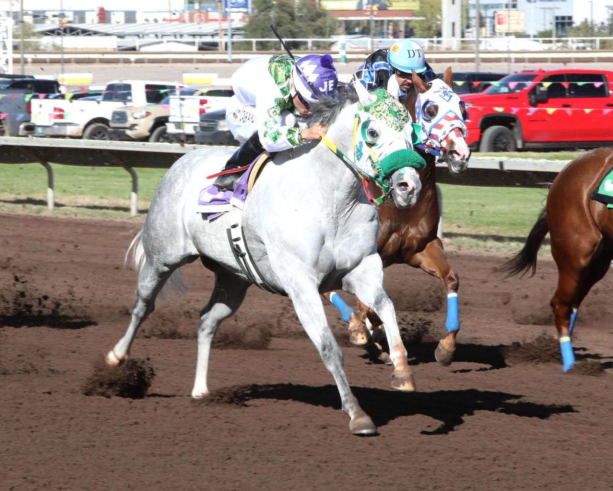 Stakes Winners Headline Competitive $50,000 Champagne Lane Stakes At Albuquerque Downs