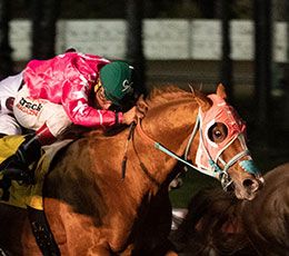 Los Alamitos