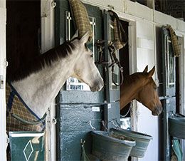 Ruidoso Downs Race Track & Casino