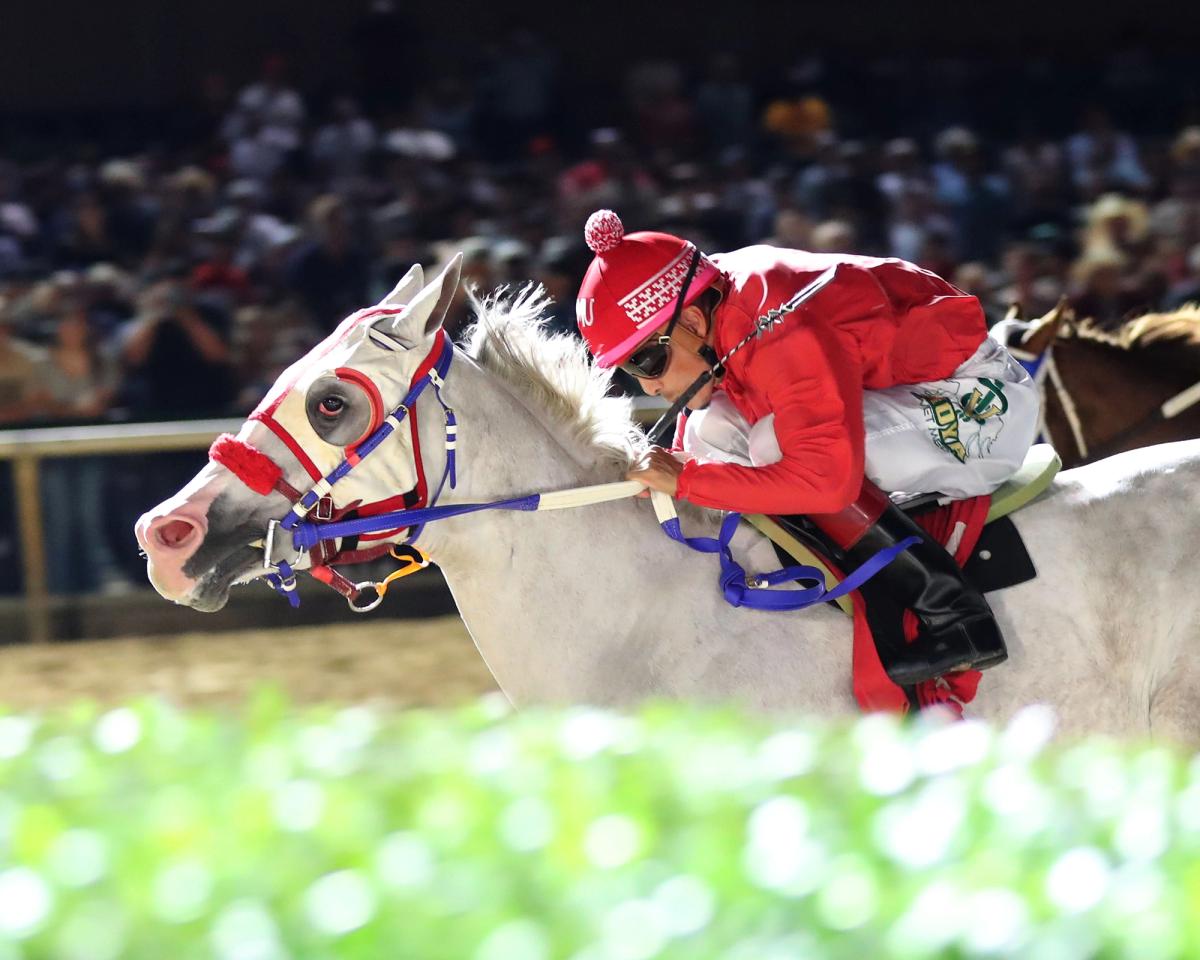 Jc Canelo Scores Dash For Cash Juvenile Victory at Lone Star Park