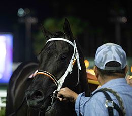 Mayor Humdinger in the Los Alamitos winner's circle.