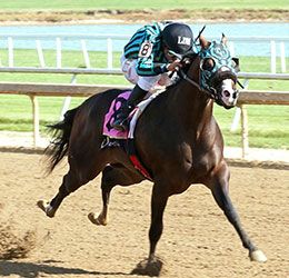 Lynard, under jockey Luz Martinez, scored in the third Governors Stake trial on Saturday.