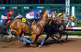Up For Everything (#1) scored a nose victory in the Spring Stakes on Saturday.
