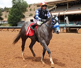 Sinnin. Double and jockey Christian Ramos return after finish second to fastest qualifier Wr Desperado in trial 2.