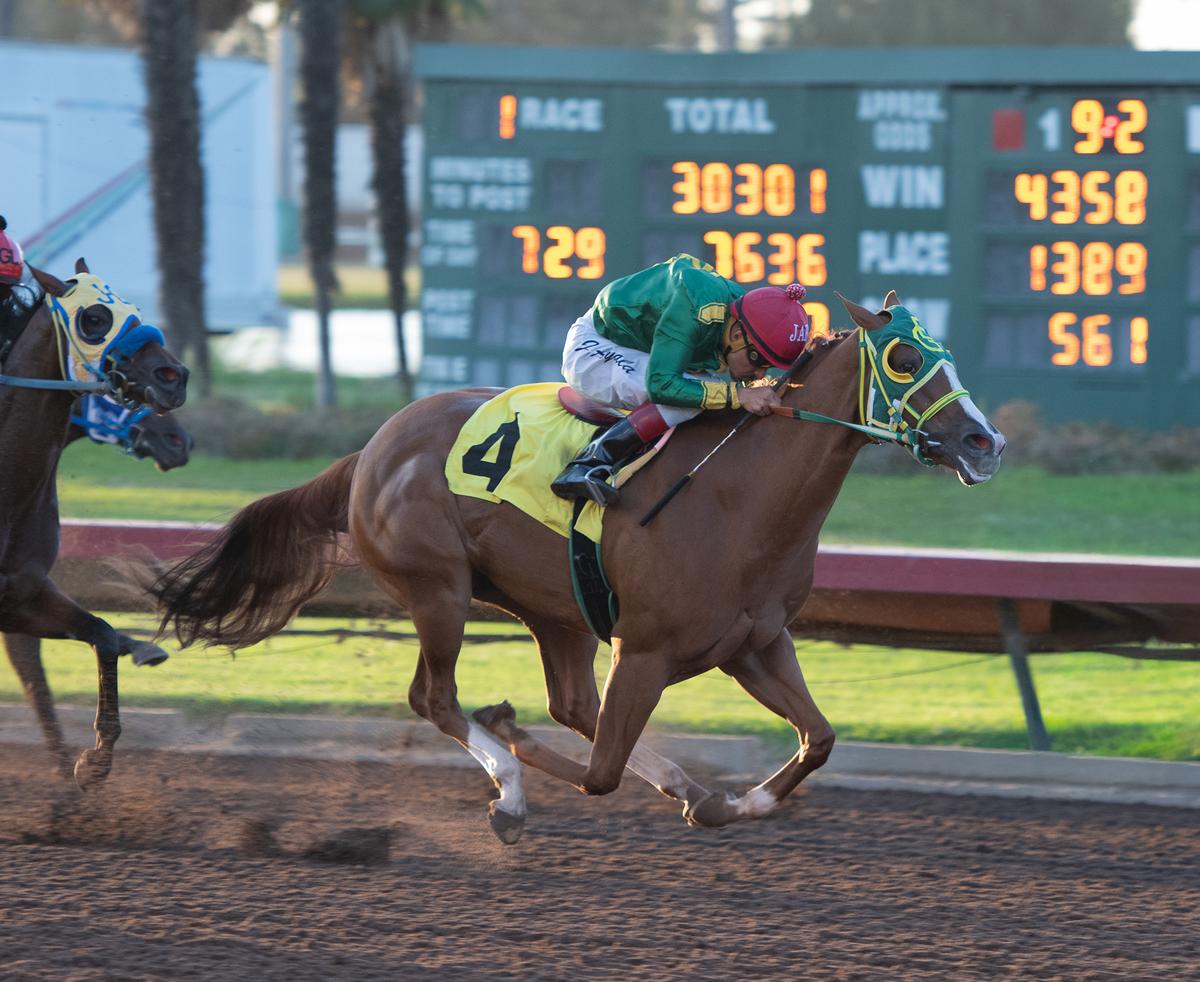 STAKES WINNERS A MERE ANDREA AND MY FAVORITE PARIS HEAD SUNDAY MAIN EVENT AT LOS ALAMITOS