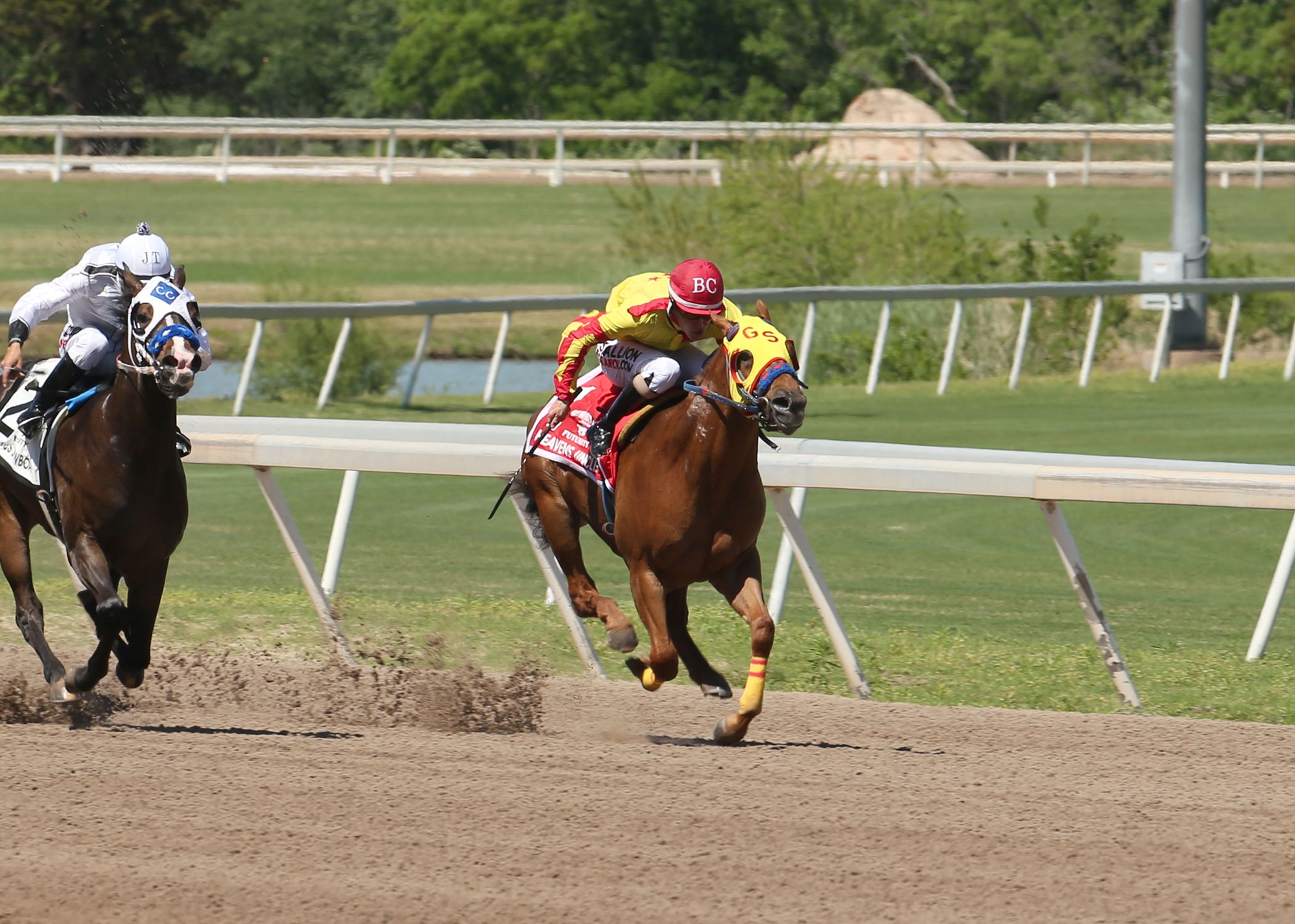 Heavens Uncle SI 106, winner of the Grade 1 Remington Park Oklahoma-Bred Futurity and Grade 2 Bob Moore Memorial Stakes.