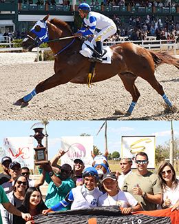Lendario Gold HBR and his staff in winning the Bronze Cup GP.