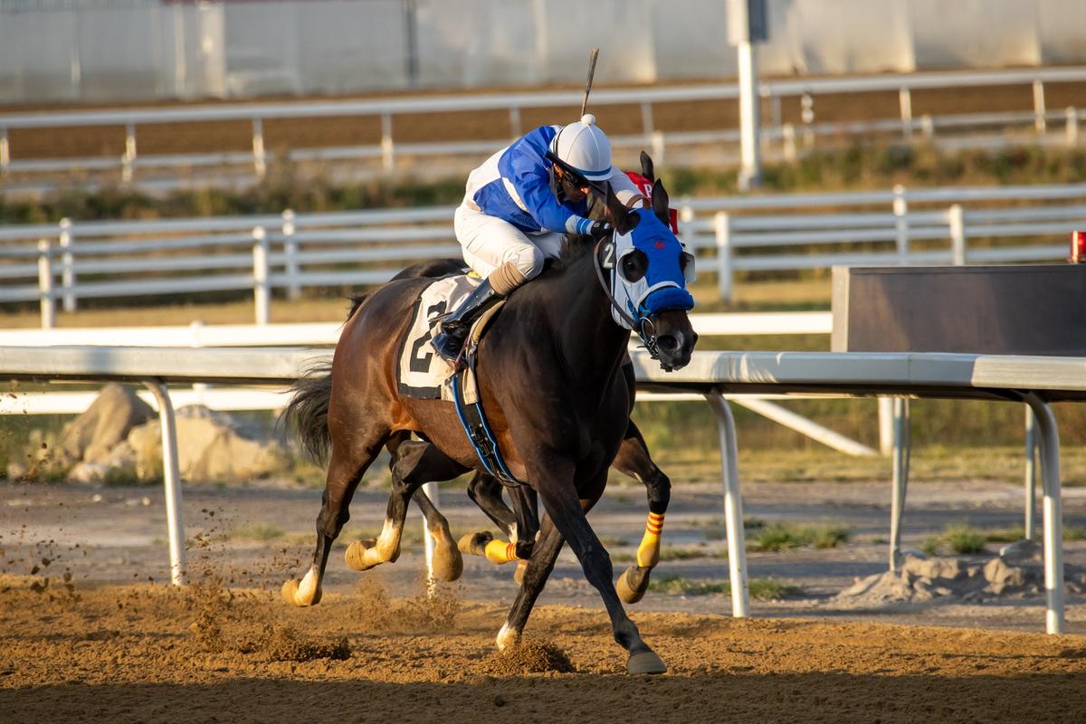Miss Fancy Nancy Captures Cup Classic Stakes For Third Consecutive Victory