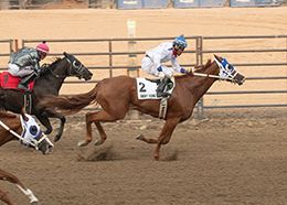 Pocatello Downs