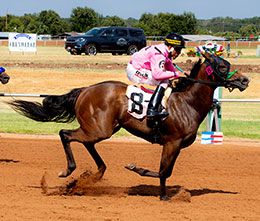 Gillespie County Fair