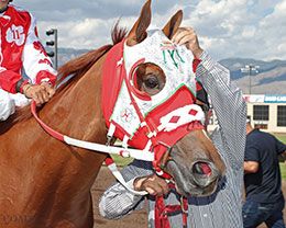 Rainbow Juvenile winner Jess A Bad Lil Cat at The Downs

at Albuquerque.