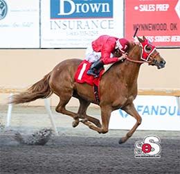 Apollitical Muse, under jockey Francisco Calderon, qualified in the fifth trial.