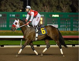 Unrelentless and Justine Klaiber in the Los Alamitos Two Million Futurity-G1 trials.