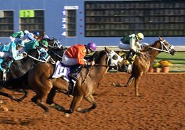 Nagano Moon is the dam of Dash Ta Moon, shown winning the Lubbock Handicap [G2].