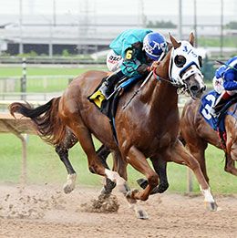 Multiple graded stakes winner His Time To Deal SI 105 (10 wins to 5, $325,860).