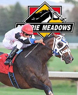 Prairie Meadows