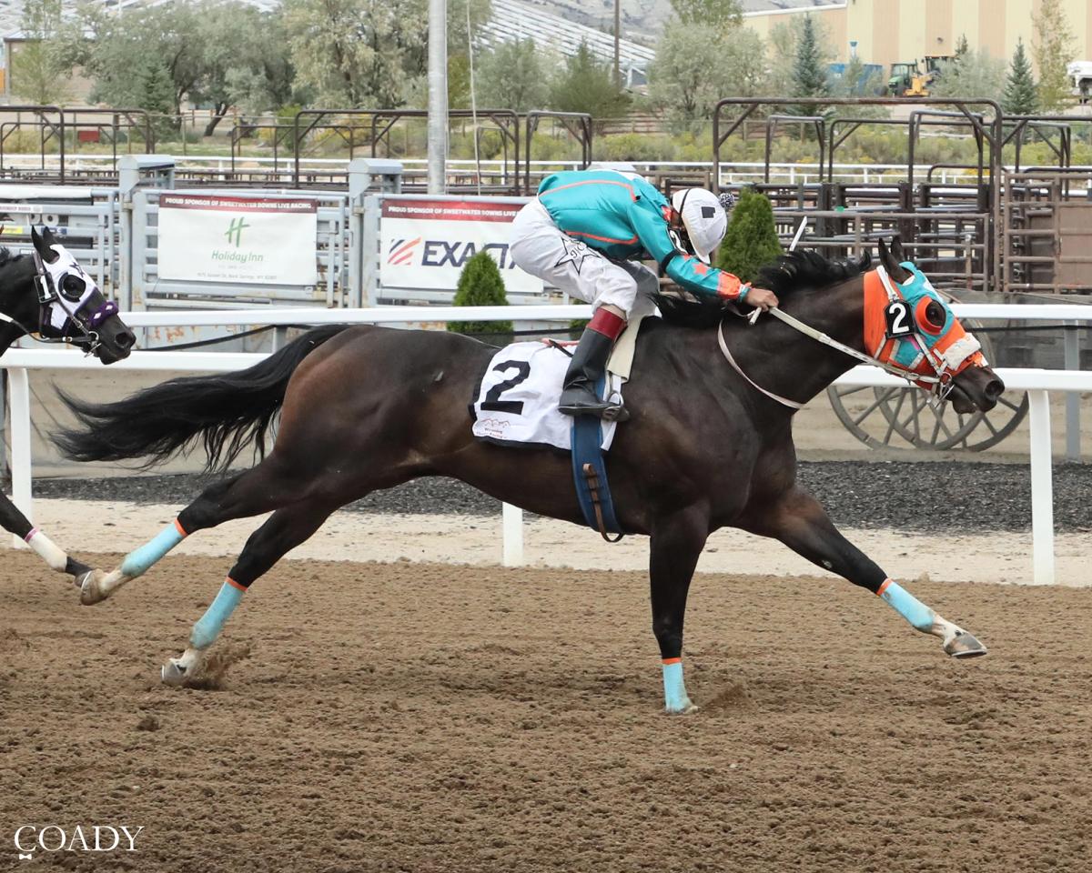 Rlh Fouronthefloor Breaks Through in Sweetwater Downs Maturity Consolation