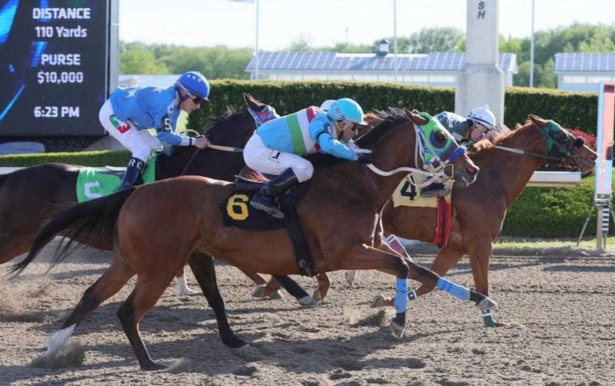 Half-sisters Queen Charlotte and Relentless Betty Seek Princess Maturity Win