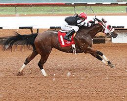 Hott Temptation, under jockey Justine Klaiber, winning the fourth trial to get the third fastest time.