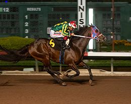 Los Alamitos