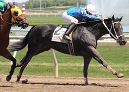Geeze Wally began racing at three at Oaklawn in Arkansas and Remington Park in Oklahoma before venturing to Indiana in 2015.