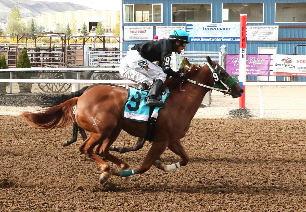 Kcross Clairesholm Breaks Maiden In $25,000 WABRA Wyoming Bred Futurity Consolation