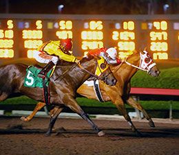Defending Champ holds off Party Time Tom in the last derby trial.