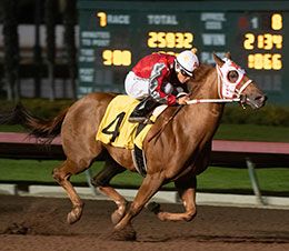 Undefeated Ed Burke Million winner Up To Party posted the second fastest qualifying time in the PCQHRA trials on Sunday.