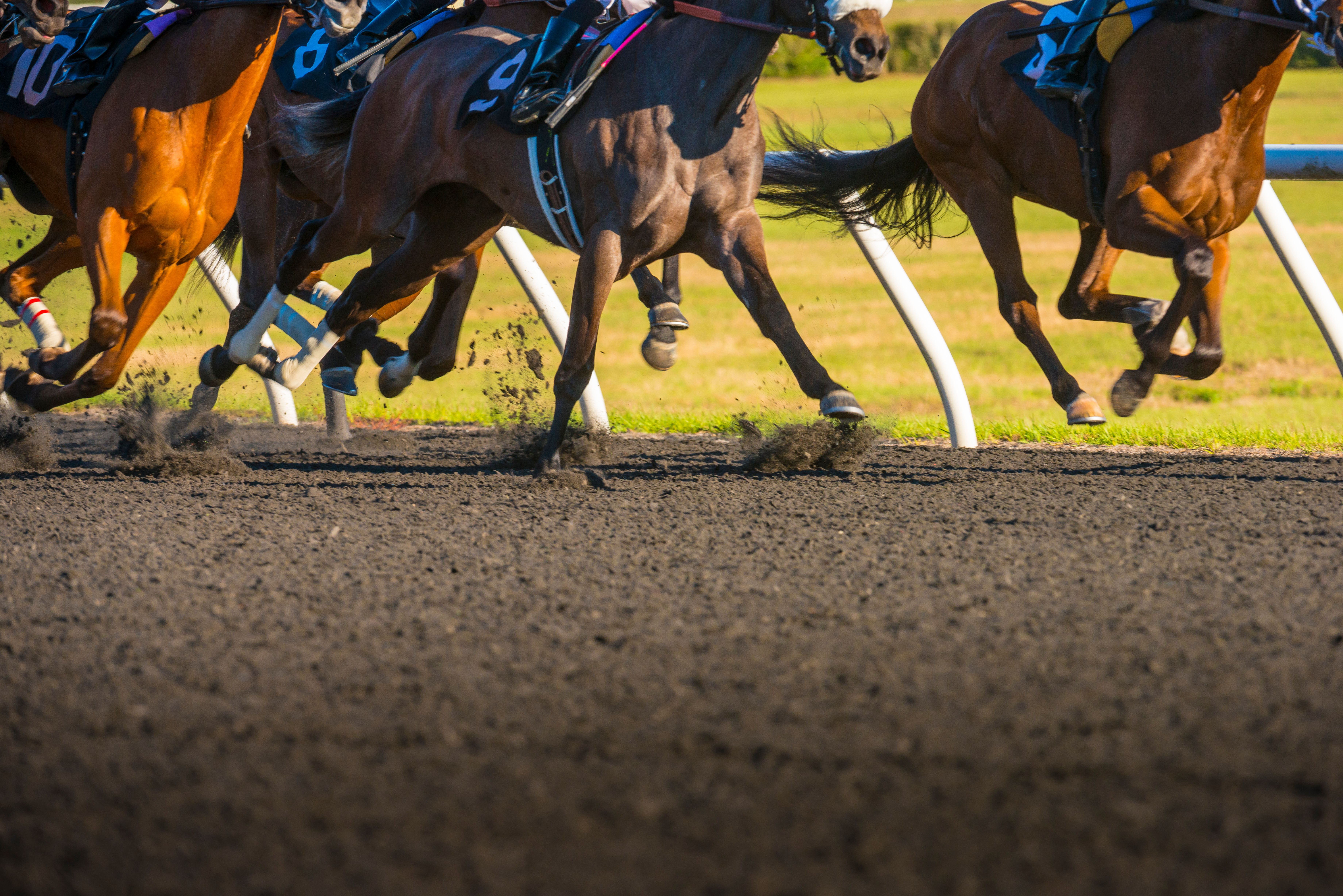 BOCO Futurity And Bluegrass Derby Trials Highlight Opening Day At Newly Built Sandy Ridge