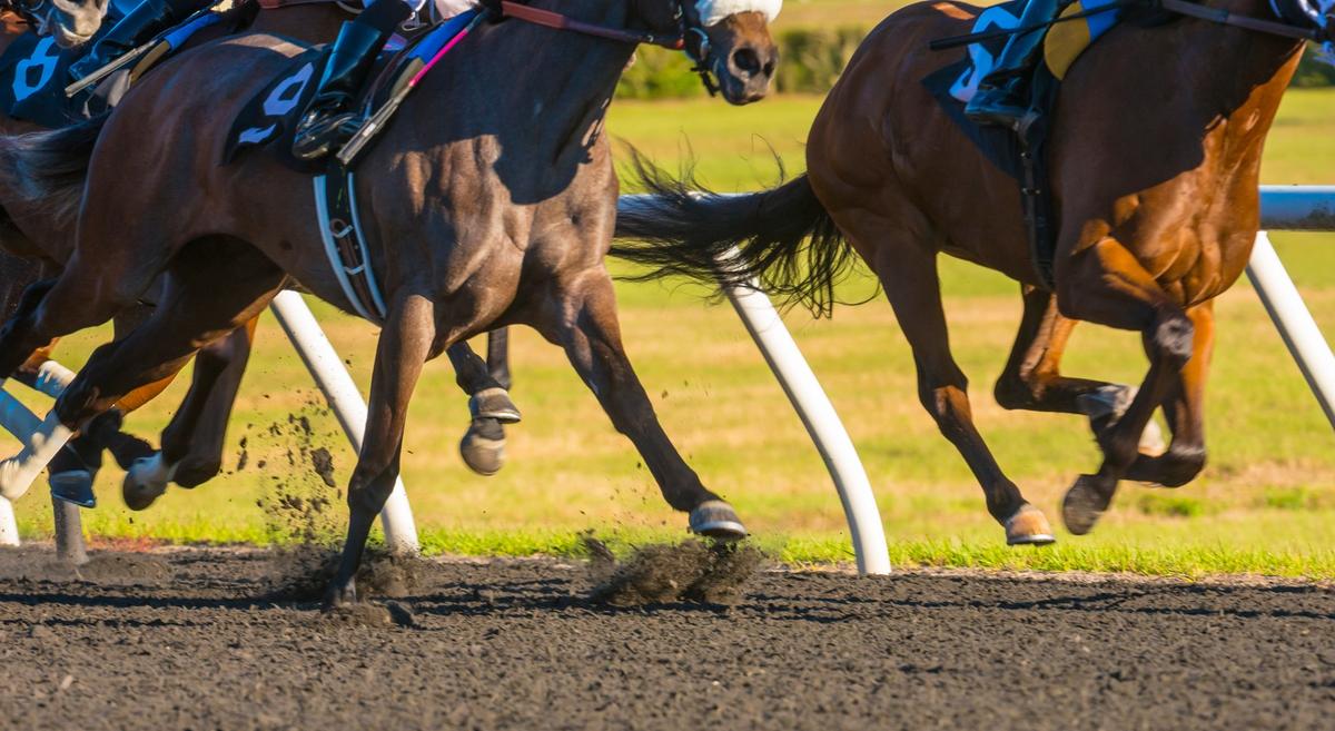 BOCO Futurity And Bluegrass Derby Trials Highlight Opening Day At Newly Built Sandy Ridge