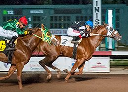 Call Me Cole, under jockey Jesus Ayala, posting the second fastest time from 10 trials for the 2017 $938,850 Golden State Million Futurity(G1) at Los Alamitos Race Course.