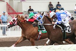 Sephoraa 157 (#5) was moved to first over Gbh Cowboy (#2) to get the fourth fastest time in trial #15.
