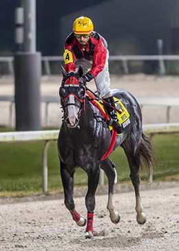 Old South Futurity winner and jockey Raul Hernandez, Jr., return after winning the Old South Futurity.