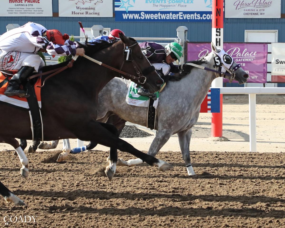 Miss Pollys Train Earns First Stakes Victory in Seedskadee Overnight Stakes