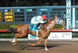 Bon Accord winning the Grade 1 Go Man Go Handicap at Los Alamitos Race Course.