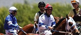 AQHA