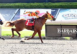 El Ilusionista SR clocked the fastest time to the Garanones Futurity Juvenile.