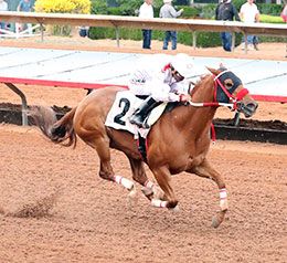 Victoria Garcia / Ruidoso Downs