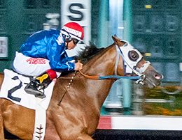 Los Alamitos