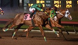 AJ Remember Me (#1) gets up over Jess Im Worth It (#8) as the pair qualify in the sixth trial.