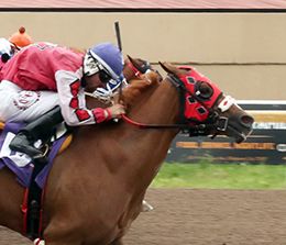 Dustin Orona Photography/Remington Park