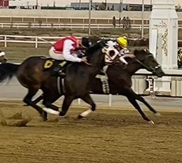 Century Downs Racetrack and Casino