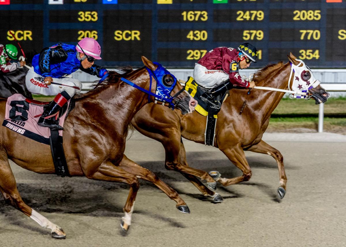 Leaving Coyame Best In Mid City Stakes
