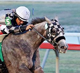 Fastest qualifier Seis Chilitos will return for the finals of the $606,121 TQHA Sale Futurity Finals on Saturday, July 27.
